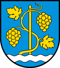 CHE_Schinznach_COA.svg.png