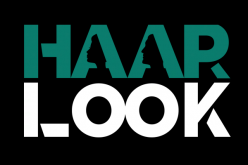Haarlock.png
