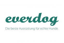 everdog.png
