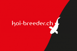 koi_breeder.png