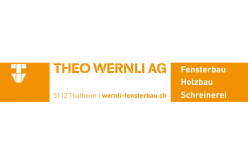 theo_wernli.png